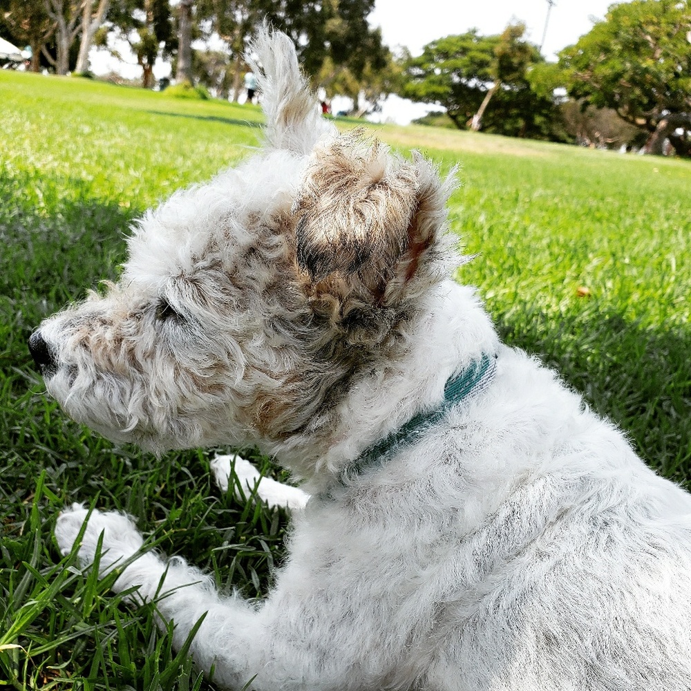Meet your Posher, Suzannie